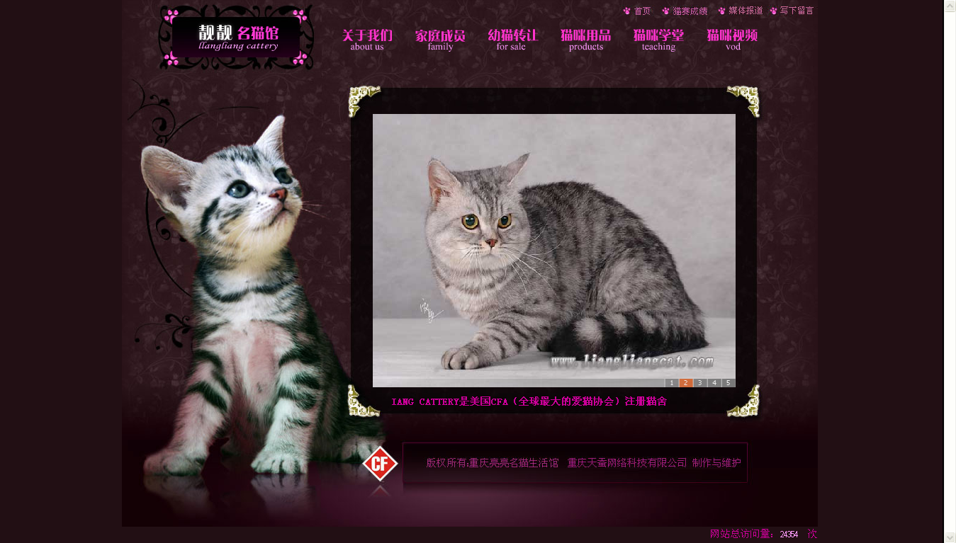 重慶靚靚名貓館網(wǎng)站